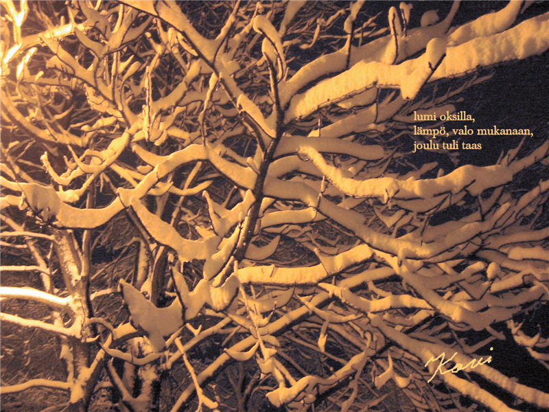 lumi oksilla / valo, l�mp� mukanaan / joulu tuli taas // karri